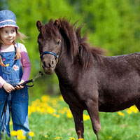 アグリツーリズモ