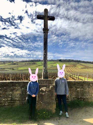 ロマネコンティ畑にて