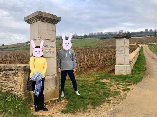 モンラシェにて