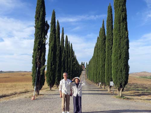トスカーナの糸杉にて