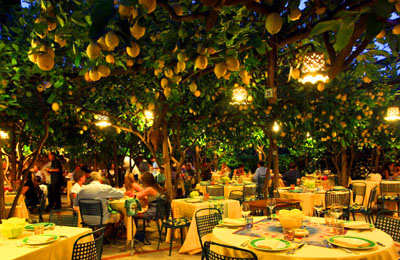 レモンの木に囲まれたレストラン