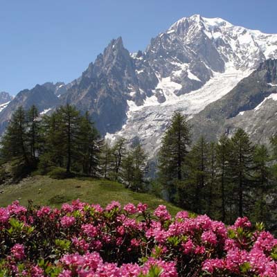 雄大なモンブランと湖水地方を巡る癒しの旅８日間