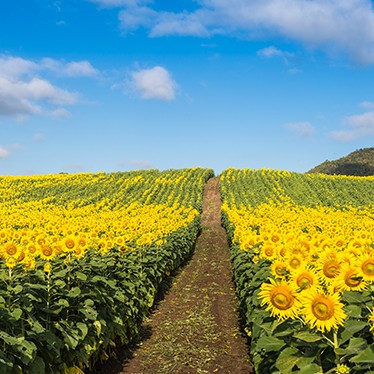 トスカーナ・ウンブリア周遊