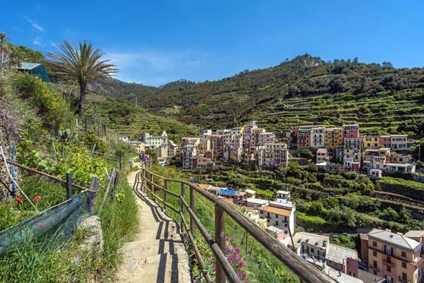ブドウ園の遊歩道ハイキング